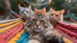 selfie photograph of four cute persian cats
