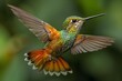 Hummingbirds perch amidst blossoming flowers in a verdant Costa Rican woodland. natural setting, lovely hummingbirds consuming nectar, vibrant backdrop fauna found in tropical environments, Hummingbir