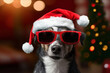 Cute Christmas Dog with Santa Hat Celebrating in a Festive Red Background
