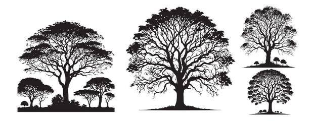 trees silhouette