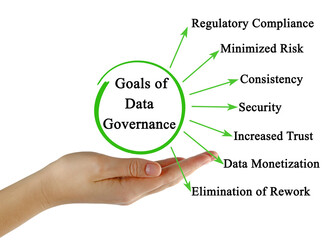 Sticker - Seven Goals of Data Governance