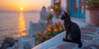 Schwarze Katze auf Santorin. Seeblick. Sanftes Abendlicht