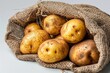 Natural organic fresh potatoes harvest in burlap sack on white background