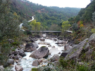 Sticker - Magnifique paysage de ruisseau et cailloux