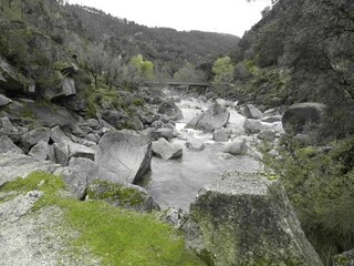 Canvas Print - Magnifique paysage de ruisseau et cailloux