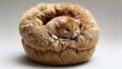 A small brown and white hamster sitting in a furry ball, AI
