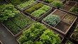 Urban Agriculture: Sustainable Plant Nursery.