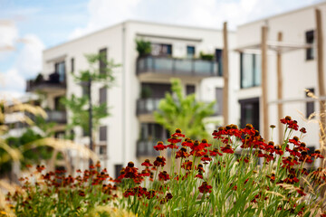 Modern Landscape Design front Building Block Apartments. Green  Perennial Garden with Flower Plants as Landscaping Buildings.