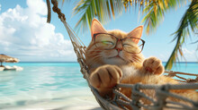 Concept Of A Tropical Island Getaway: A Cute Orange Cat Wearing Sunglasses Lounging In A Hammock On The Beach