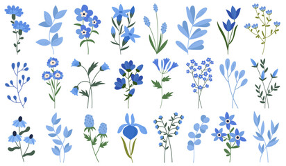 Wall Mural - Blue blossoms of wild flowers set field and meadow floral plants collection vector illustration