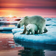A mother polar bear with her cub looking at the plastic waste floating in the sea