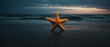 Starfish on Beach With Dark Sky