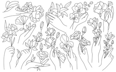 Wall Mural - Human hands holding blooming flowers minimalist outline art drawing style set vector illustration