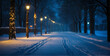 Snowy Street With Street Lights and Trees
