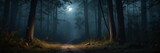 Fototapeta  - Moonlit Path Through Dark Forest