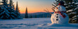 Snowman Standing in Snowy Field