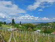 white clouds on blue sky over Virovitica and green landscape of Croatia