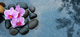 Fototapeta  - Black spa stone and pink orchid flowers on the gray table background.