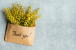© ADDICTIVE STOCK - Envelope with Mimosa Flowers and a Thank You Message
