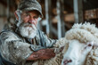 Seasoned Farmer in a Cap Shearing Sheep, Rugged Agricultural Lifestyle