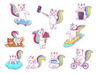 Cartoon cute caticorn cat and kitten characters, kawaii pet animals vector personages. Funny unicorn cats riding bicycle and skateboard, playing with friend, doing selfie and texting via mobile phone