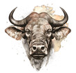 Drawing of an African buffalo on a white background. Illustration with bull with big horns.	
