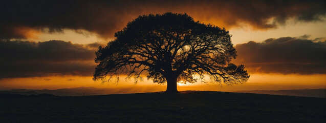 Wall Mural - Lone Tree on a Hill at Sunset