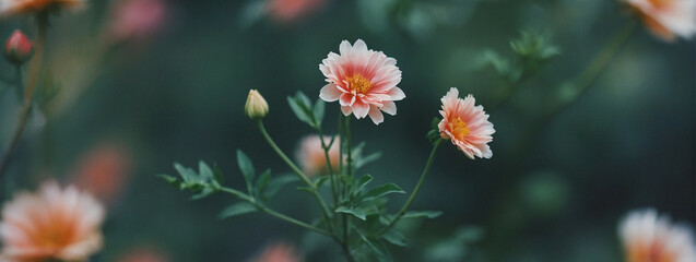 Wall Mural - Bunch of Flowers in Grass