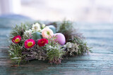 Fototapeta Tulipany - Colorful easter eggs in a herb nest with spring flowers on weathered rustic wooden table. Background with short depth of field and space for text.
