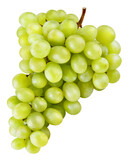 Fototapeta  - Grapes transparent PNG. Green grapes isolated on transparent or white background.