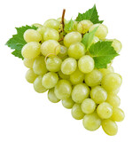 Fototapeta Mapy - Grapes transparent PNG. Green grapes isolated on transparent or white background. Green grape with leaves.