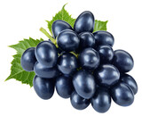 Fototapeta Mapy - Grapes transparent PNG. Black blue grapes isolated on transparent or white background. Dark blue grape with leaves.