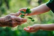 small children receive small plants from the hands of older people