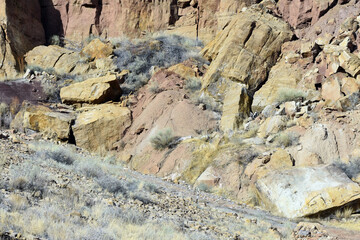 Rock Formations in New Mexico