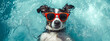 © ratatosk - Cute funny dog wearing sunglasses and floating in a swimming pool. Happy pet swim in ocean or sea, play in the water. Travel, summer vacation, holiday concept. Creative card or banner with copy space