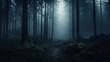 Moody forest with mystical fog