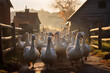 Farm geese waddling through the farmyard. Generative AI