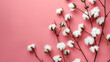 Flowers composition.Cotton flowers on pastel pink background, generative ai