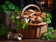 Side view of fresh mushrooms in a wicker basket on rustic wood with copy space
