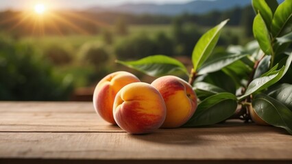 Wall Mural - Farm Fresh Peaches Harvest in Jute Sack with Blurry Crop Farm Backdrop