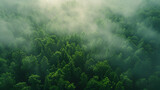 Fototapeta  - Sustainability net zero carbon negative forest nature. generative ai 