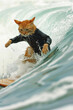 Kitty surfer catching the big wave.