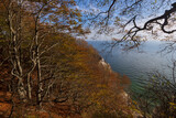 Fototapeta Natura - Kreideküste im Herbst