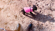 Top view of black puppy wearing pink winter costume walking on sand beach with human. Toy poodle dog and human feet POV. Film grain texture. Soft focus. Blur