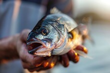 A Close-up View Of A Triumphant Person Holding A Fish With Its Mouth Open, Showcasing The Catch Of The Day In All Its Glory