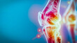 Human Osteoarthritis Knee Joint Model