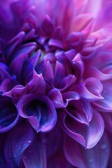 Canvas Print - A detailed view of a purple flower, perfect for botanical projects.