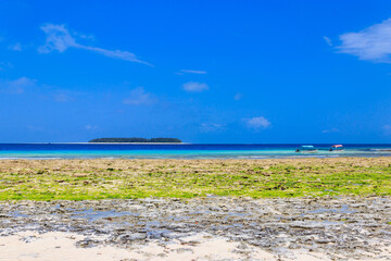 Canvas Print - View of the Indian ocean at low tide, Zanzibar, Tanzania