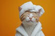 © Александр Лобач - A happy morning image. A red-haired cat in a bathrobe and with a towel on his head rejoices on an orange background