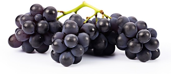 Canvas Print - A bunch of black grapes, a type of berry and seedless fruit, displayed on a white background. Grapes are considered a superfood and natural food produce, high in nutrients